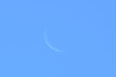 朝撮りの月