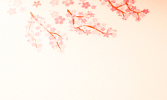 壁に桜
