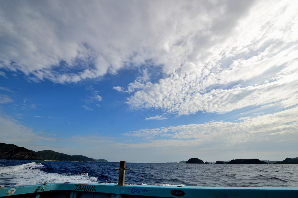 沖縄の海