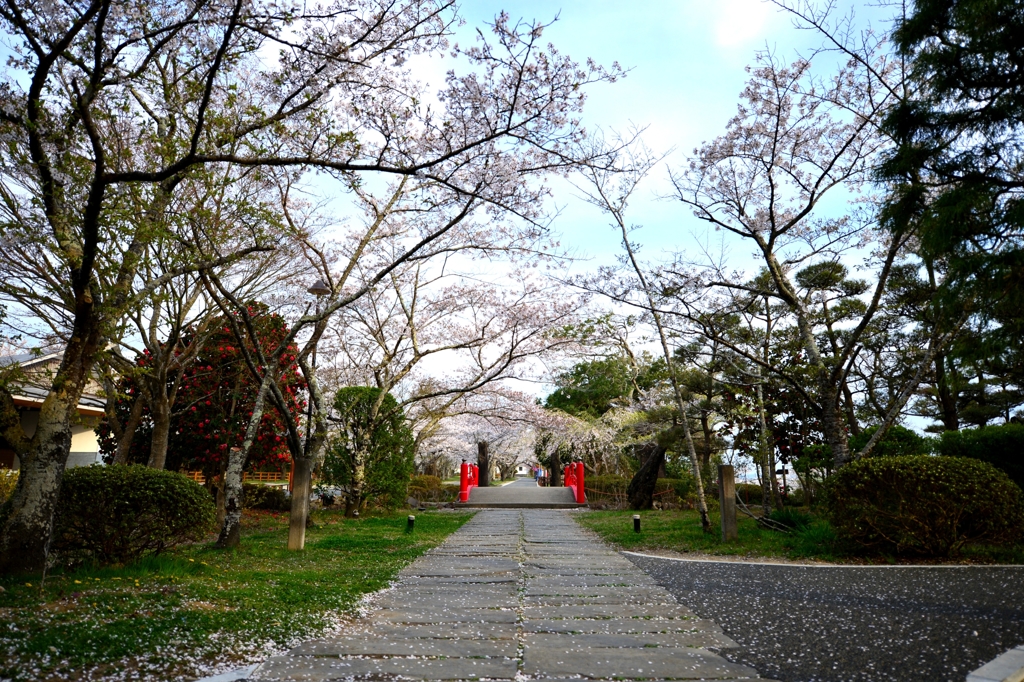 城山公園５