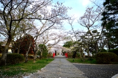 城山公園５