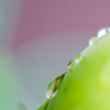 Green slider
