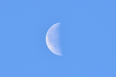 今朝の月