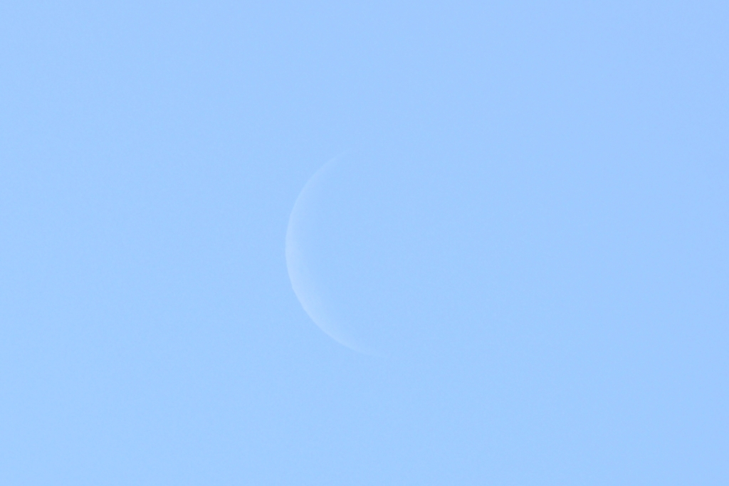 今朝の月