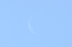 今朝の月