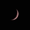 moon age 3.8