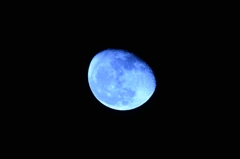 昨夜の月