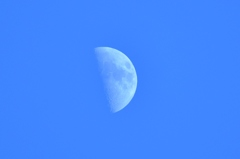 青空の半月