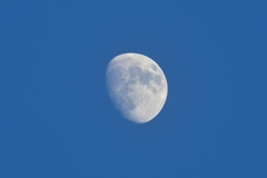 月のある青空
