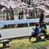 松島、西行戻しの松公園より
