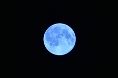 Blue　Moon