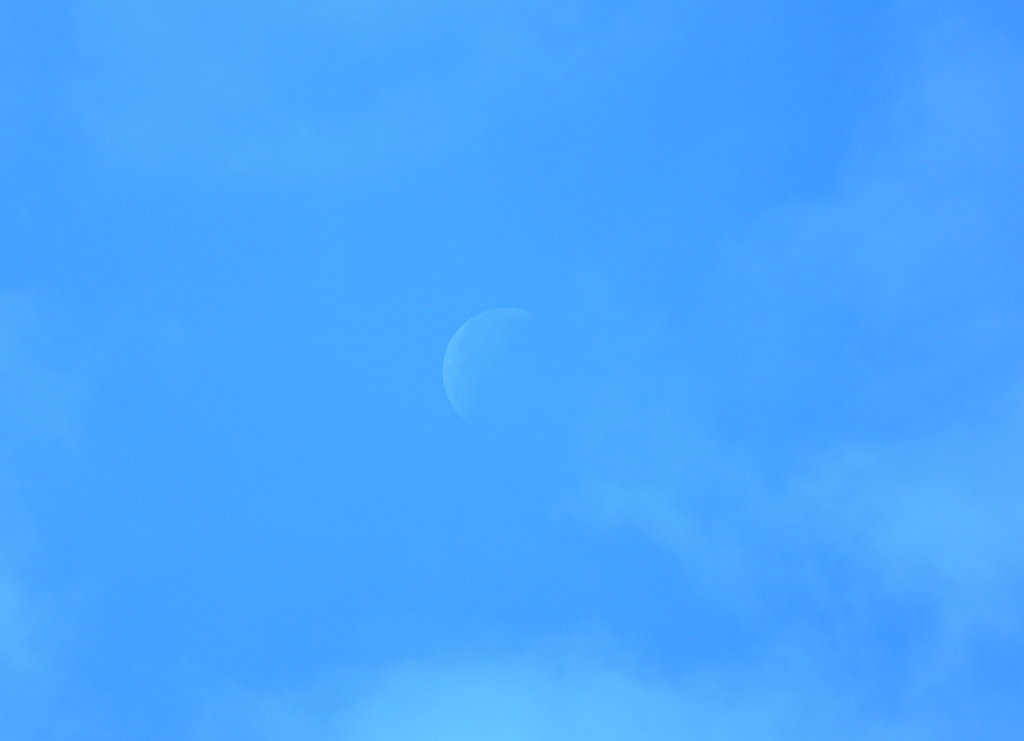今朝の月