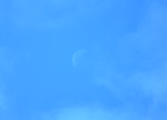 今朝の月