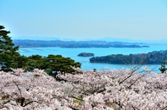 松島、西行戻しの松公園より