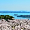 松島、西行戻しの松公園より