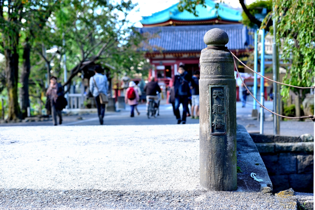 東京　上野公園