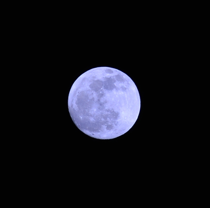 月齢14.3