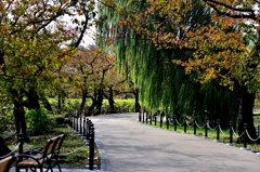 東京　上野公園