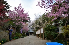 城山公園６