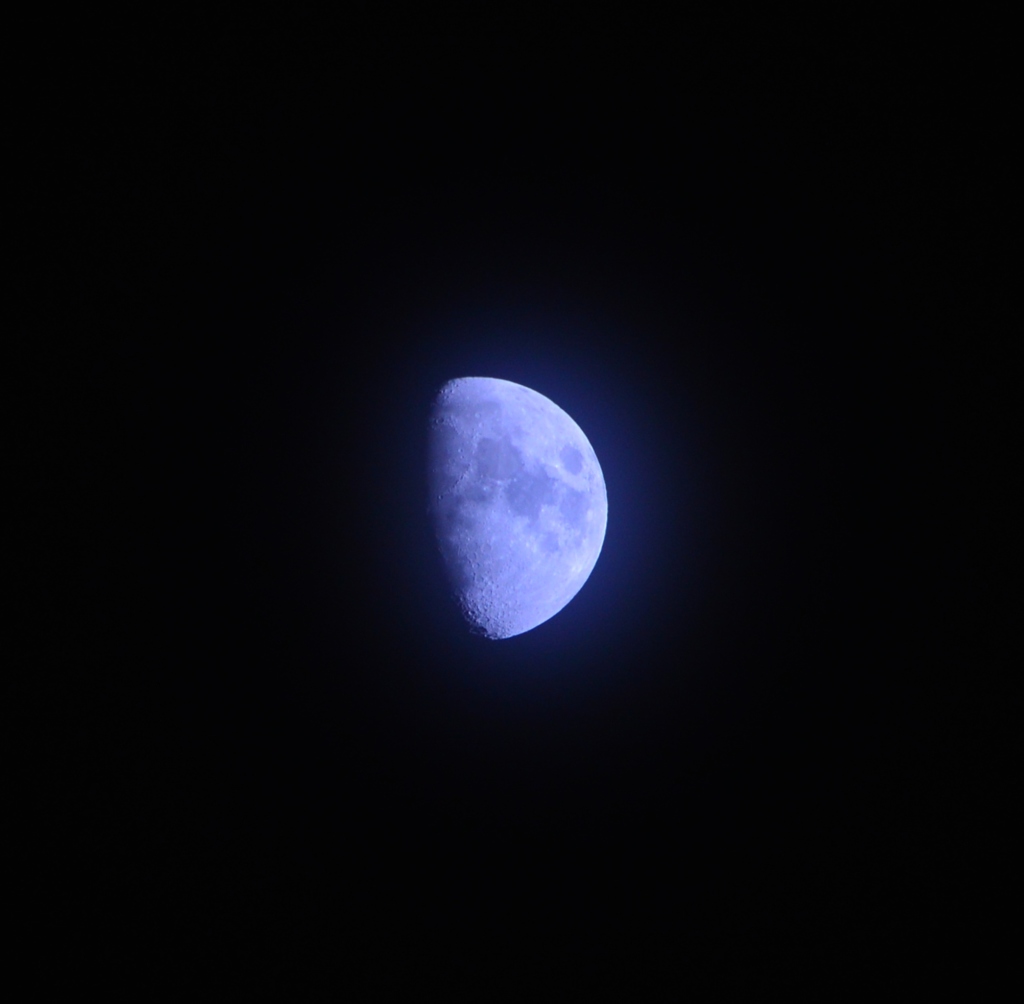 今夜の月