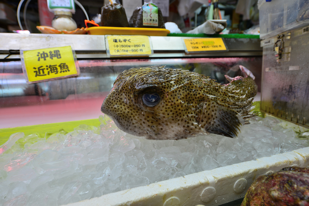 ハリセンボン