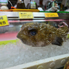 ハリセンボン