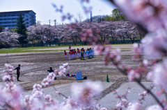 僕らの街にも春が来た