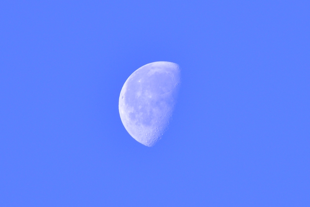 今朝の月