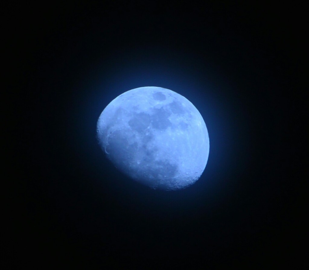 夕べの月