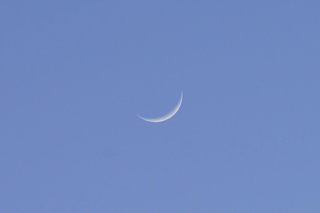 TODAY'S　MOON