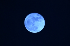 十六夜月