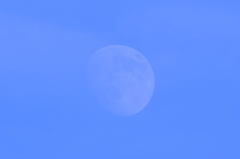 夕方の月