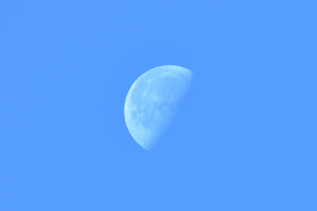 今朝の月