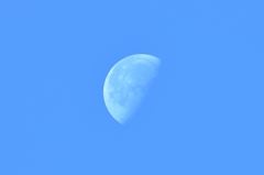今朝の月