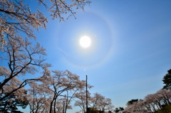 松島、西行戻しの松公園より
