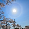 松島、西行戻しの松公園より