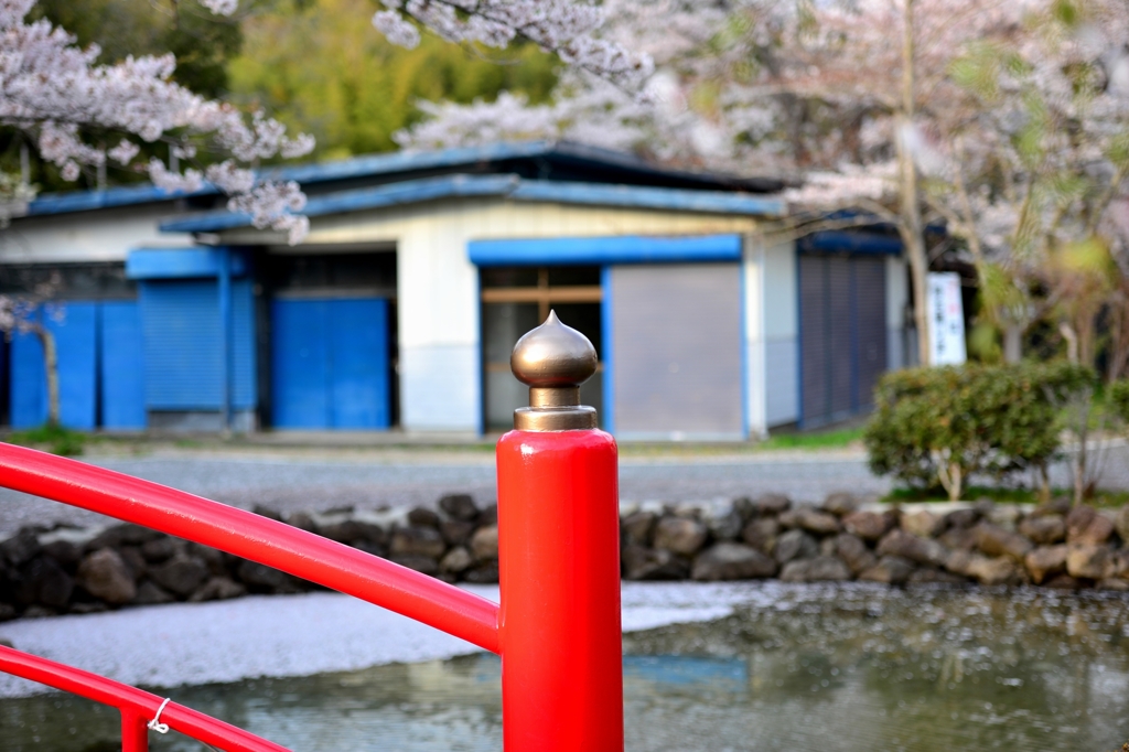城山公園４
