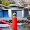 城山公園４