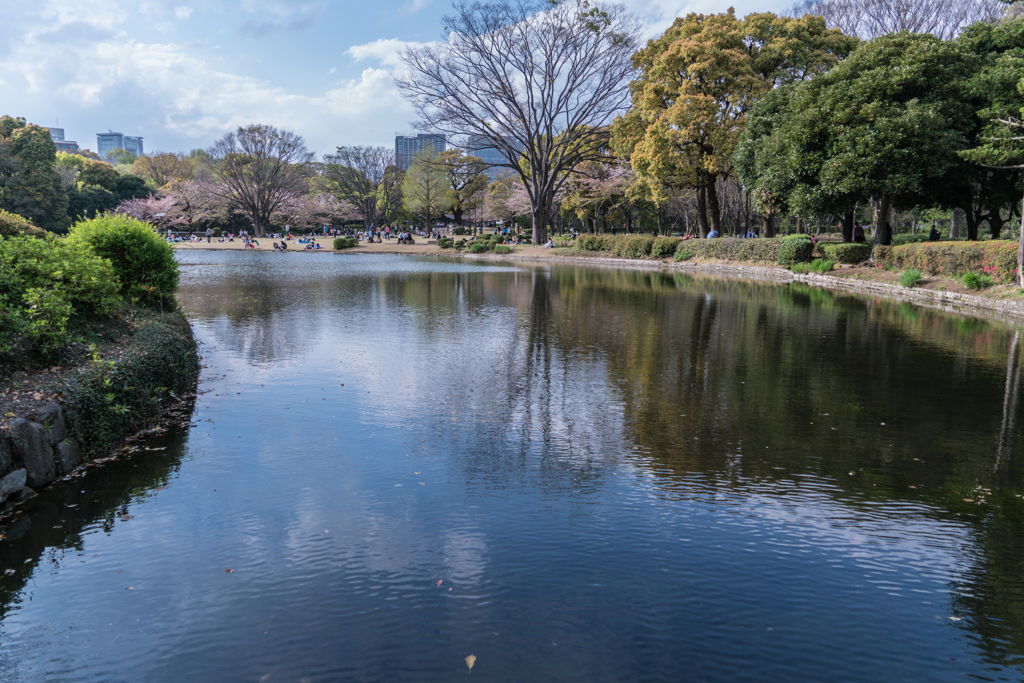 Kitanomaru on a warm day