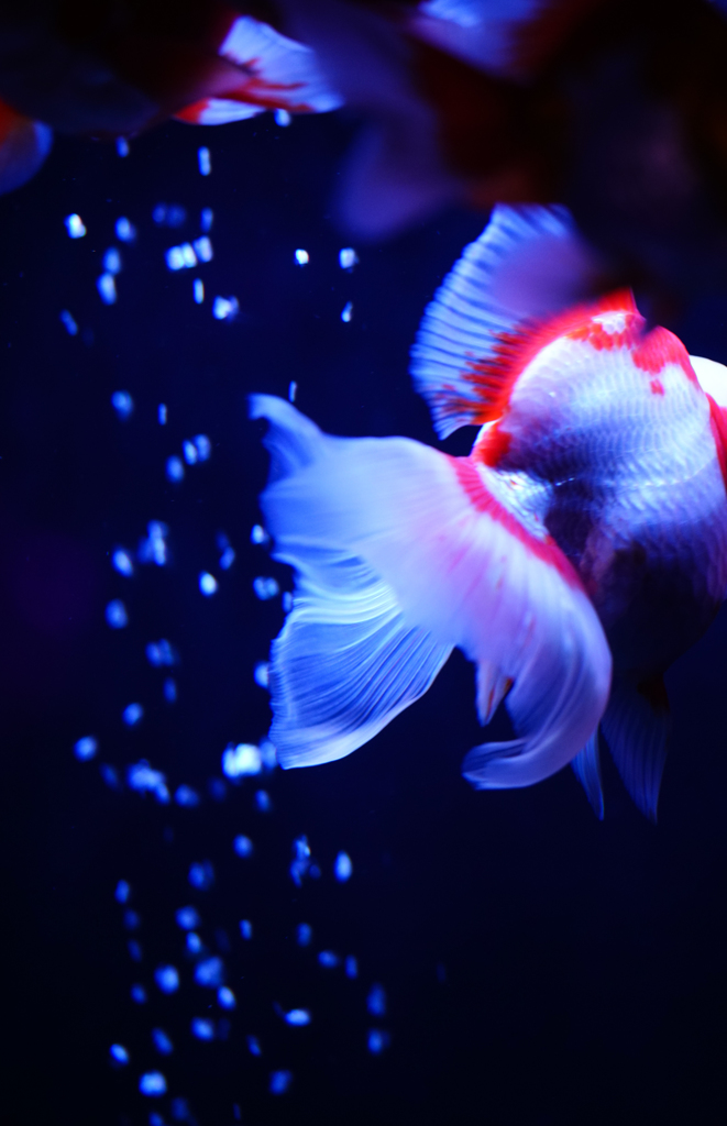 私のスカートが青く揺れている・・・