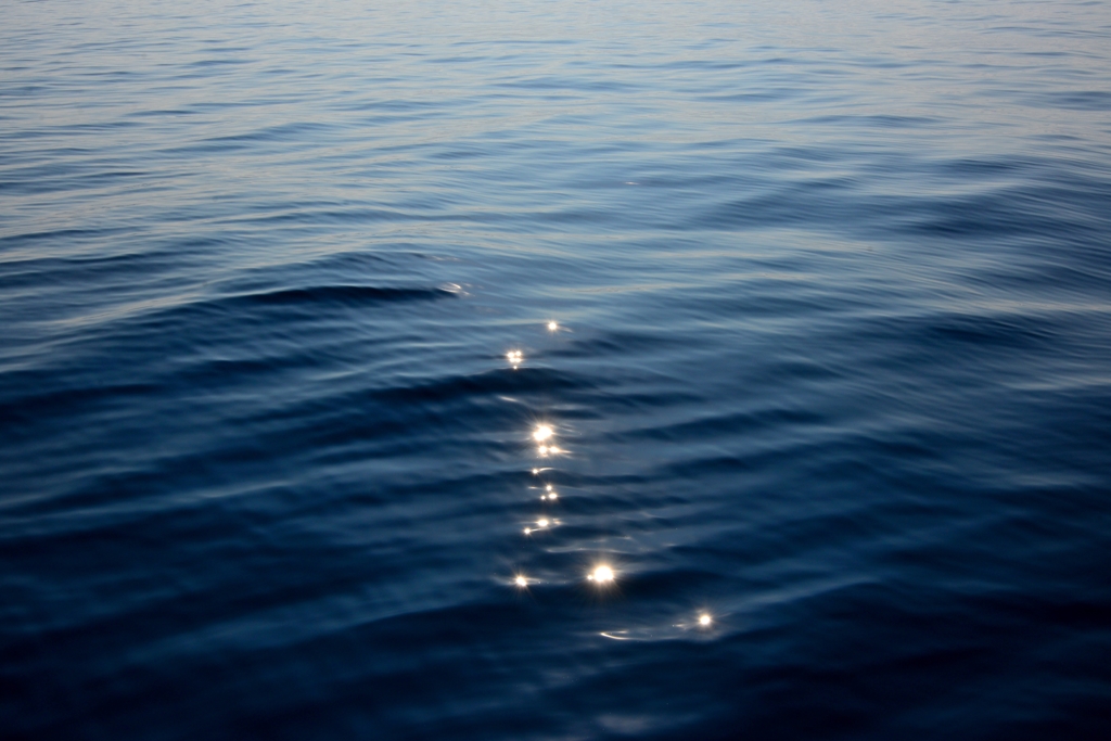 未確認生命体（笑）２