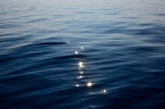 未確認生命体（笑）２