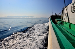 未確認生命体（笑）１