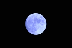 昨夜の月