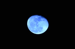 昨夜の月