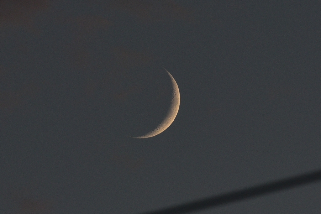 夕陽を浴びて