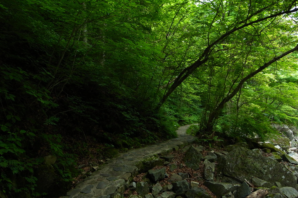 小坂の滝（岐阜）2