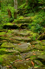 苔道 - 宇津江四十八滝