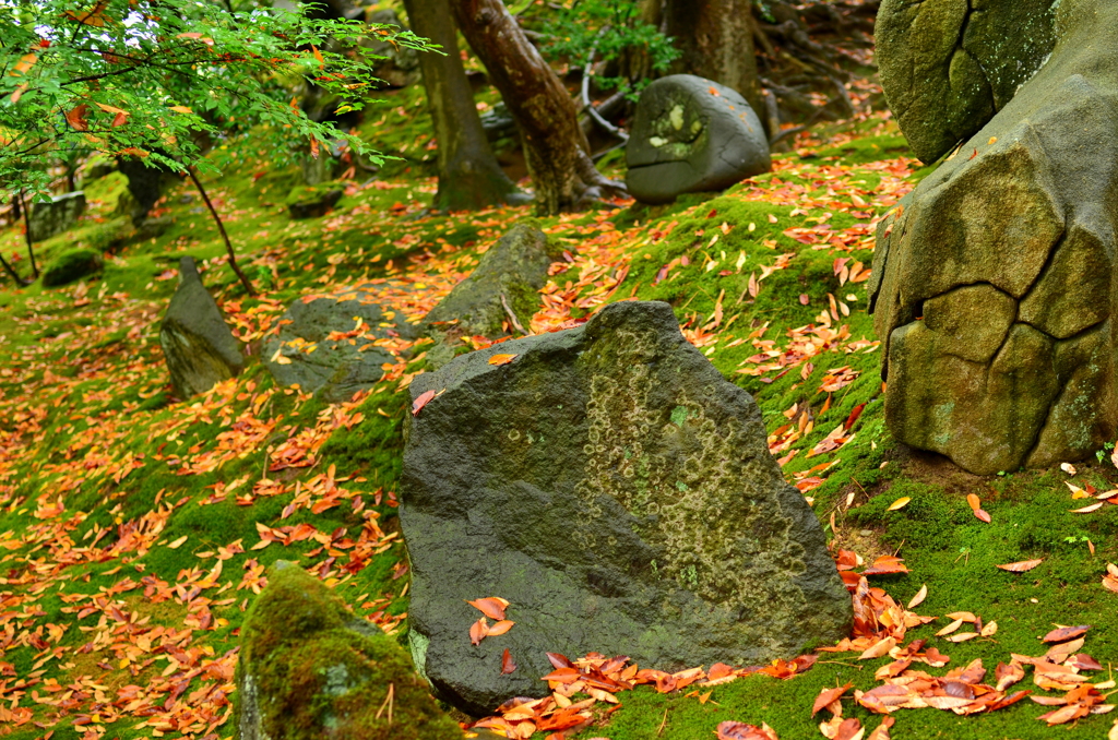 金沢紀行 09 - 秋景のニ