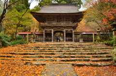 秋の山門 -　大矢田神社